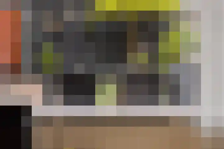 Grasstrook 40 Eindhoven thumbnail 13