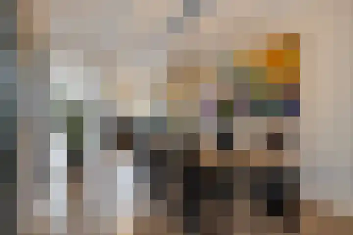 Grasstrook 40 Eindhoven thumbnail 15