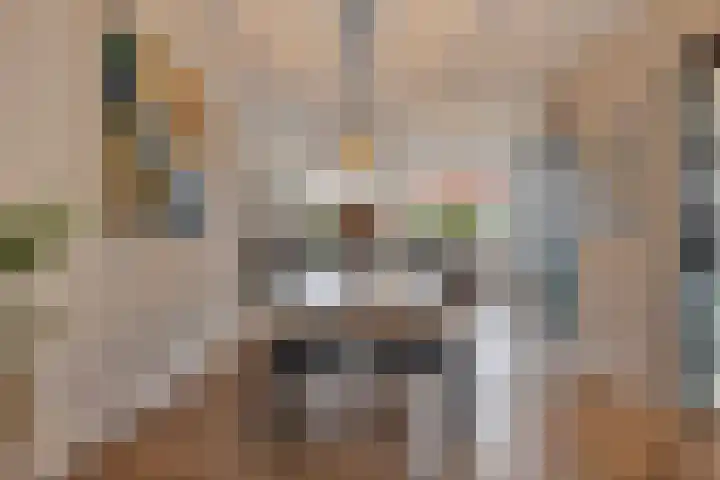 Grasstrook 40 Eindhoven thumbnail 16