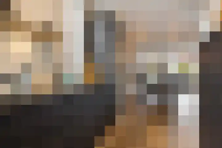 Grasstrook 40 Eindhoven thumbnail 18