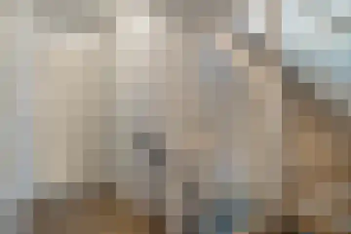 Grasstrook 40 Eindhoven thumbnail 19