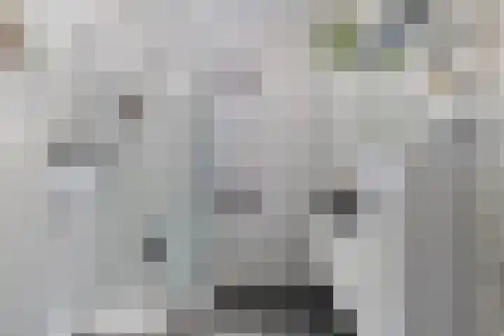 Grasstrook 40 Eindhoven thumbnail 25