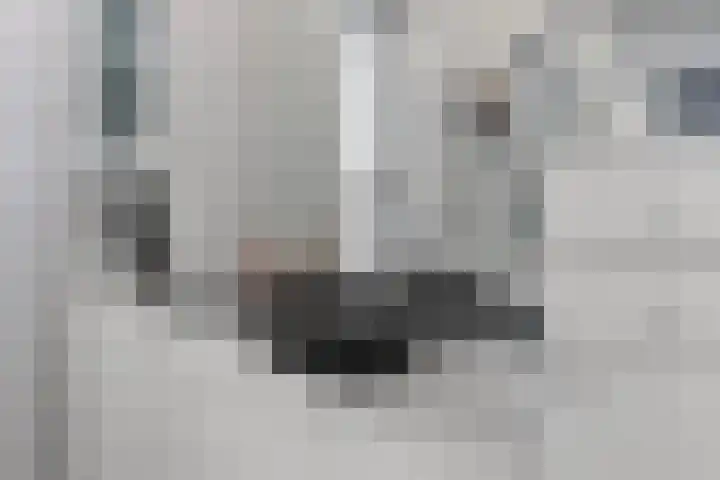 Grasstrook 40 Eindhoven thumbnail 26
