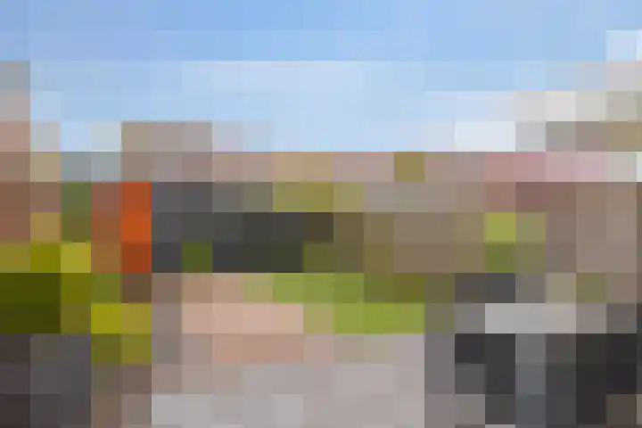 Grasstrook 40 Eindhoven thumbnail 30