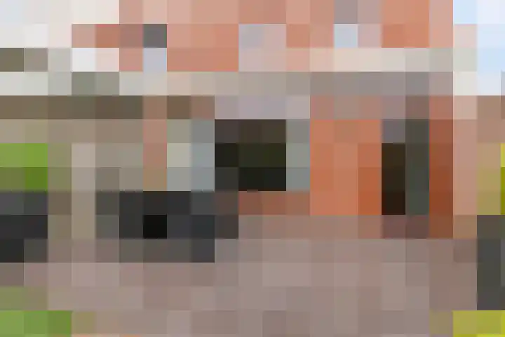 Grasstrook 40 Eindhoven thumbnail 32