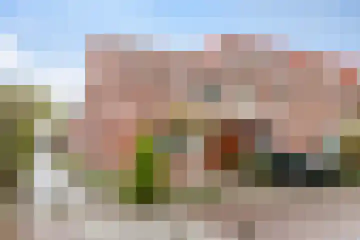 Grasstrook 40 Eindhoven thumbnail 33