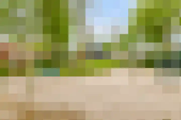 Grasstrook 40 Eindhoven thumbnail 36