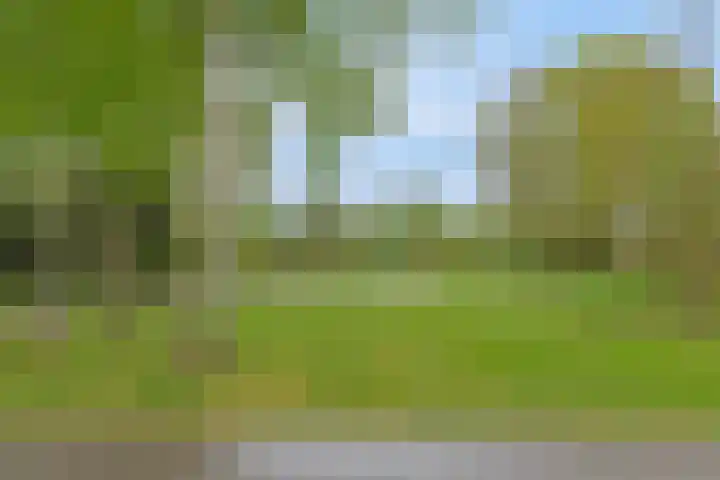 Grasstrook 40 Eindhoven thumbnail 37