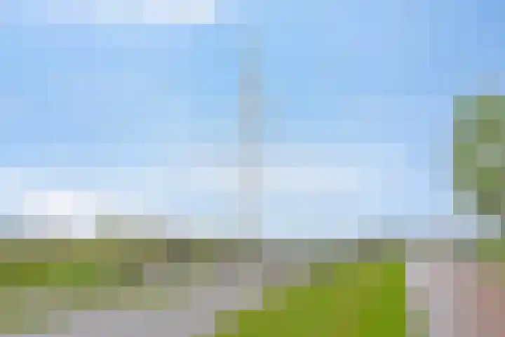 Grasstrook 40 Eindhoven thumbnail 38