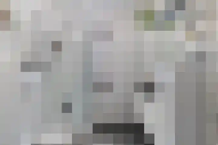 Grasstrook 40 Eindhoven thumbnail 4