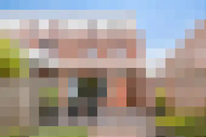 Grasstrook 40 Eindhoven thumbnail 5