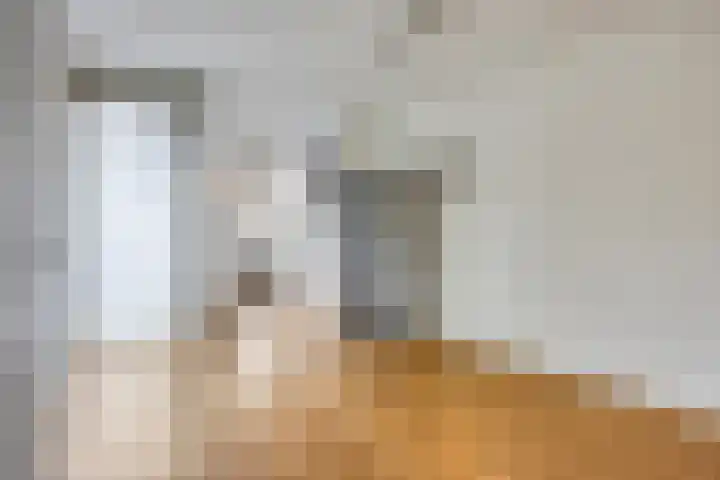 Grasstrook 46 Eindhoven thumbnail 10