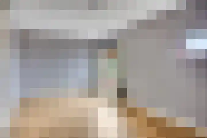 Grasstrook 46 Eindhoven thumbnail 15
