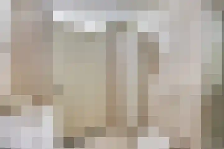 Grasstrook 46 Eindhoven thumbnail 19