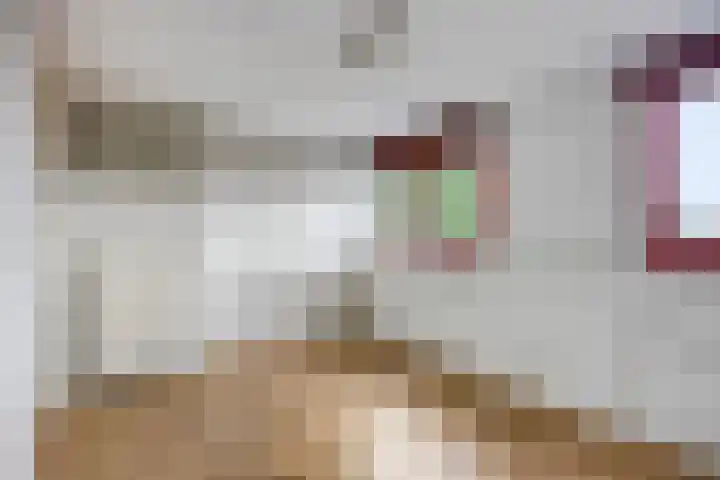 Grasstrook 46 Eindhoven thumbnail 23