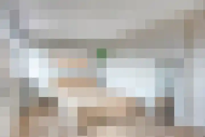 Grasstrook 46 Eindhoven thumbnail 25