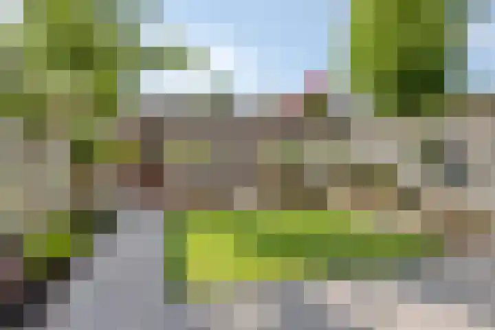 Grasstrook 46 Eindhoven thumbnail 27