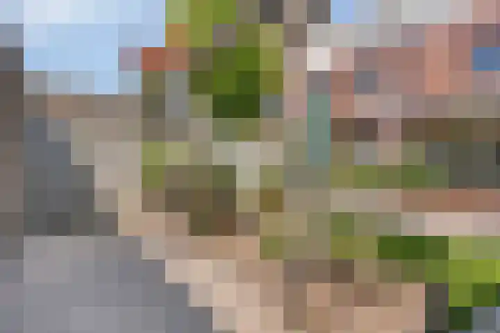 Grasstrook 46 Eindhoven thumbnail 28