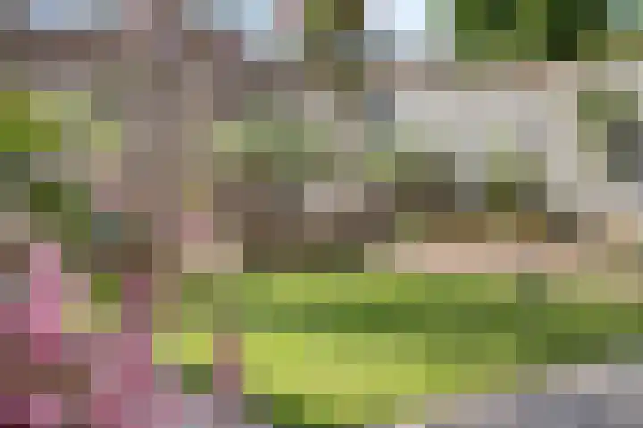 Grasstrook 46 Eindhoven thumbnail 29