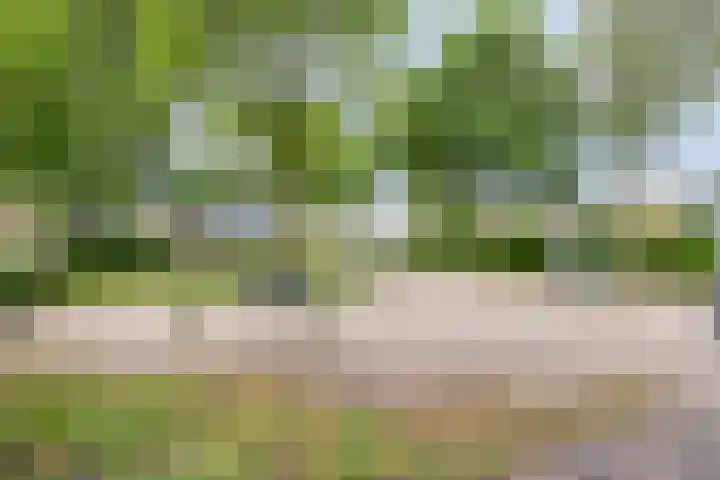 Grasstrook 46 Eindhoven thumbnail 34