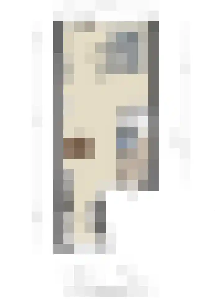 Grasstrook 46 Eindhoven thumbnail 36
