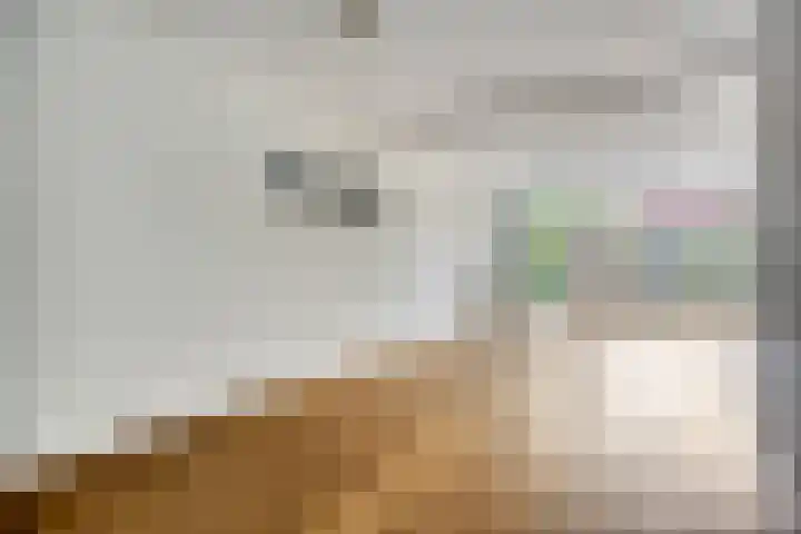 Grasstrook 46 Eindhoven thumbnail 6