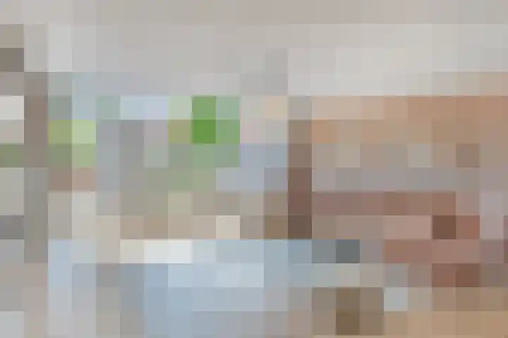 Grasstrook 46 Eindhoven thumbnail 8