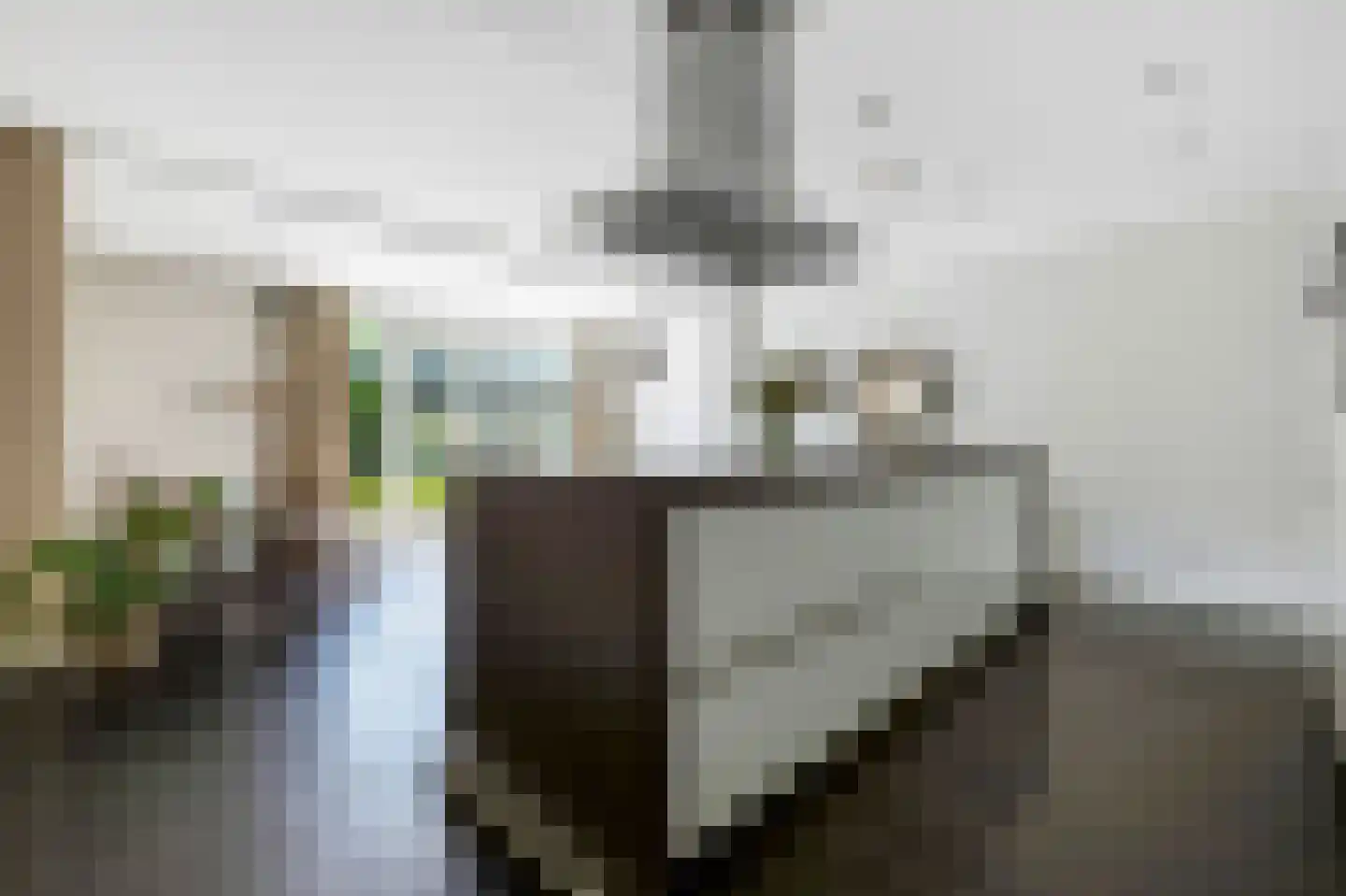 Grastapijt 18 Eindhoven thumbnail 11