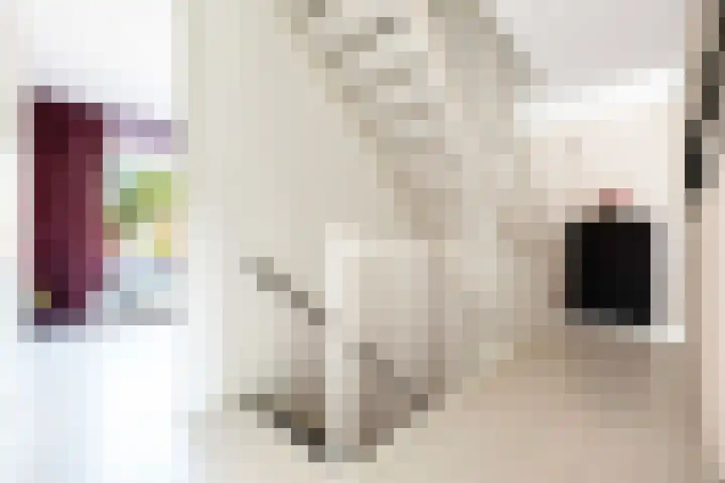 Grastapijt 18 Eindhoven thumbnail 24