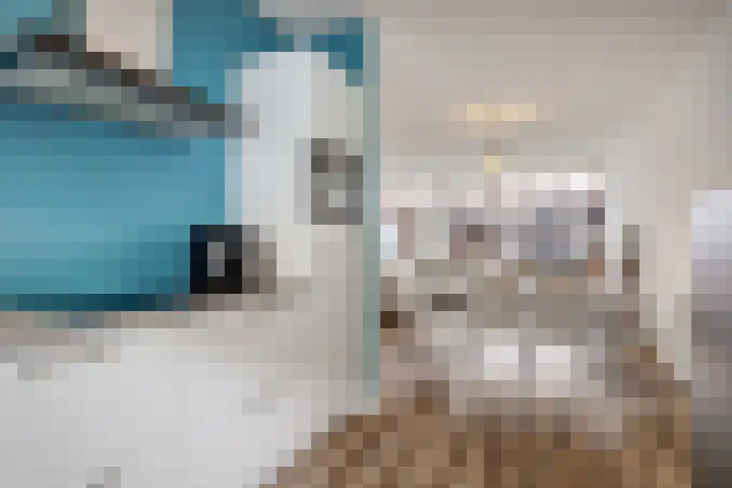 Grastapijt 29 Eindhoven thumbnail 12