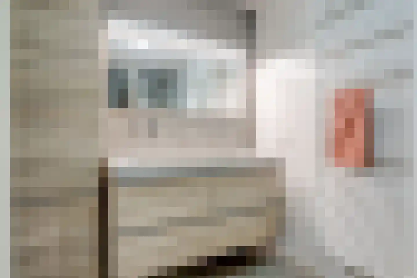 Grastapijt 29 Eindhoven thumbnail 22