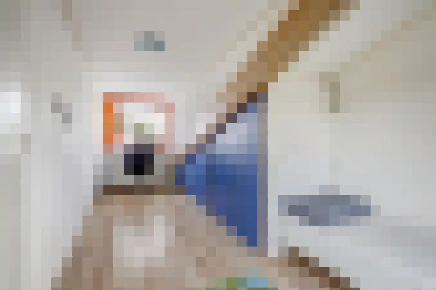 Grastapijt 29 Eindhoven thumbnail 27