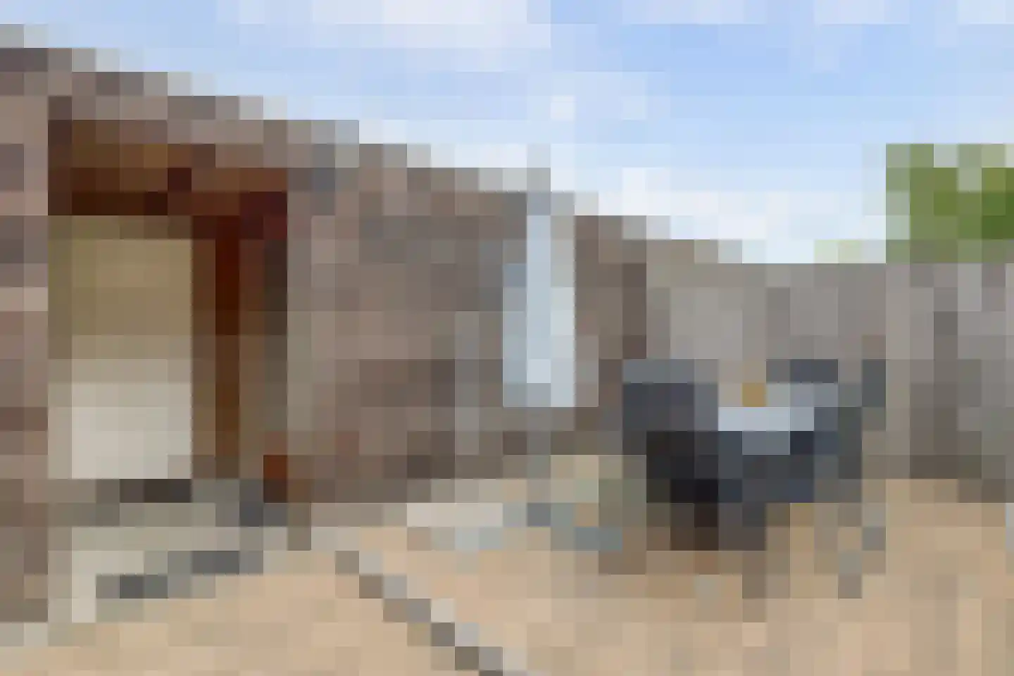 Grastapijt 29 Eindhoven thumbnail 32