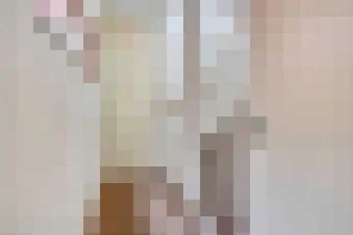 Grasveld 30 Eindhoven thumbnail 12