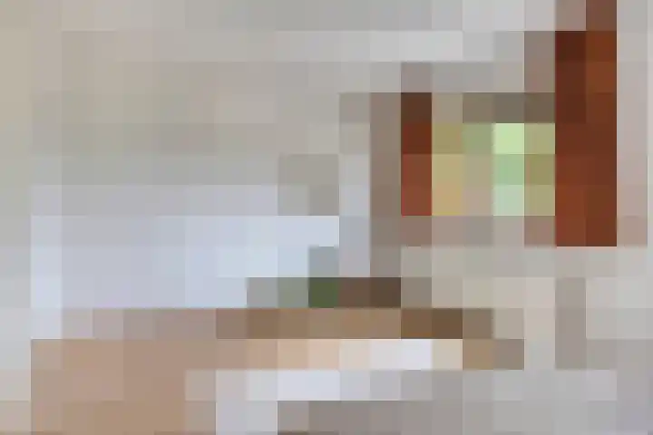 Grasveld 30 Eindhoven thumbnail 25