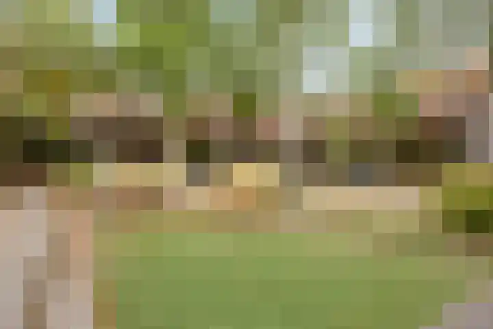 Grasveld 30 Eindhoven thumbnail 38