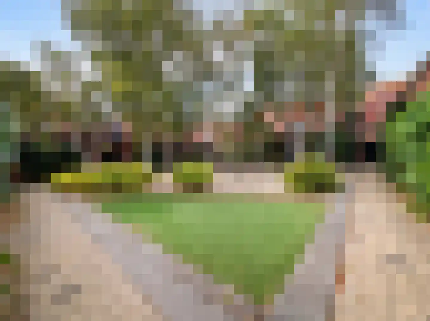 Grasveld 44 Eindhoven thumbnail 44