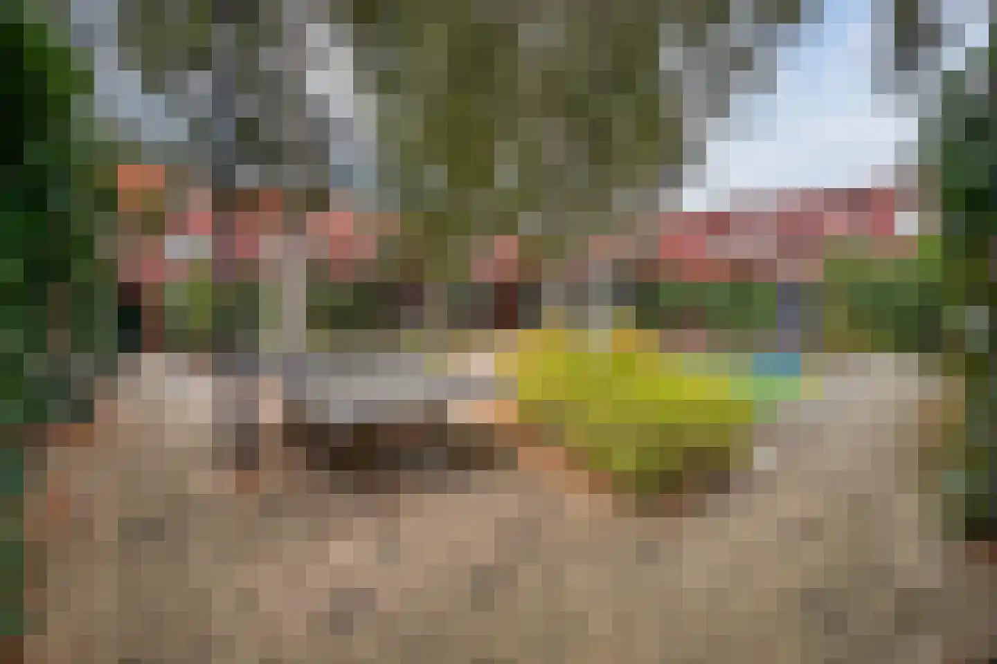 Grasveld 44 Eindhoven thumbnail 45