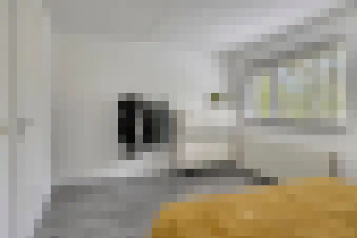 Grasveld 62 Eindhoven thumbnail 17