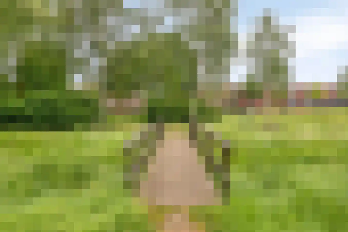Grasveld 62 Eindhoven thumbnail 24