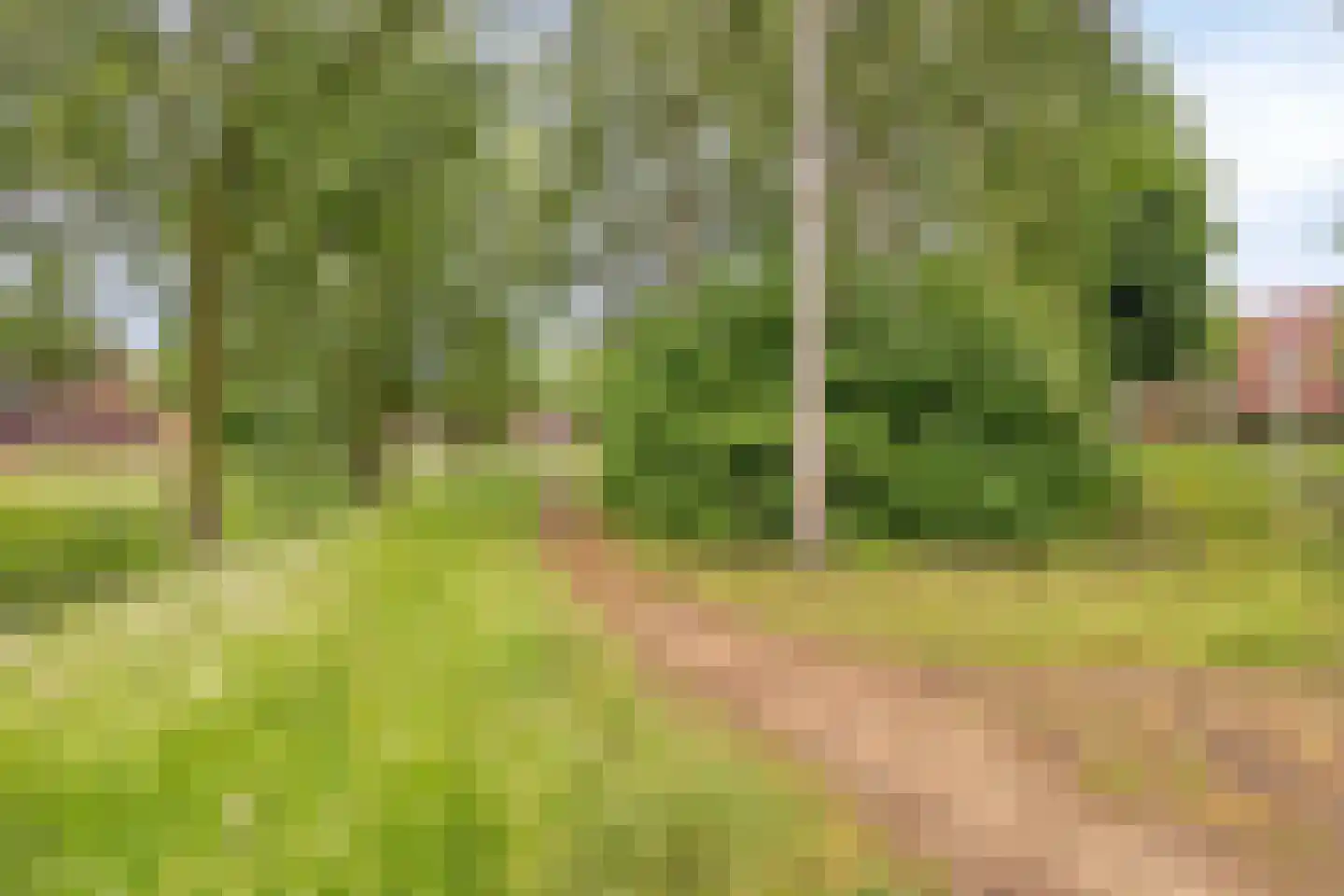 Grasveld 62 Eindhoven thumbnail 25