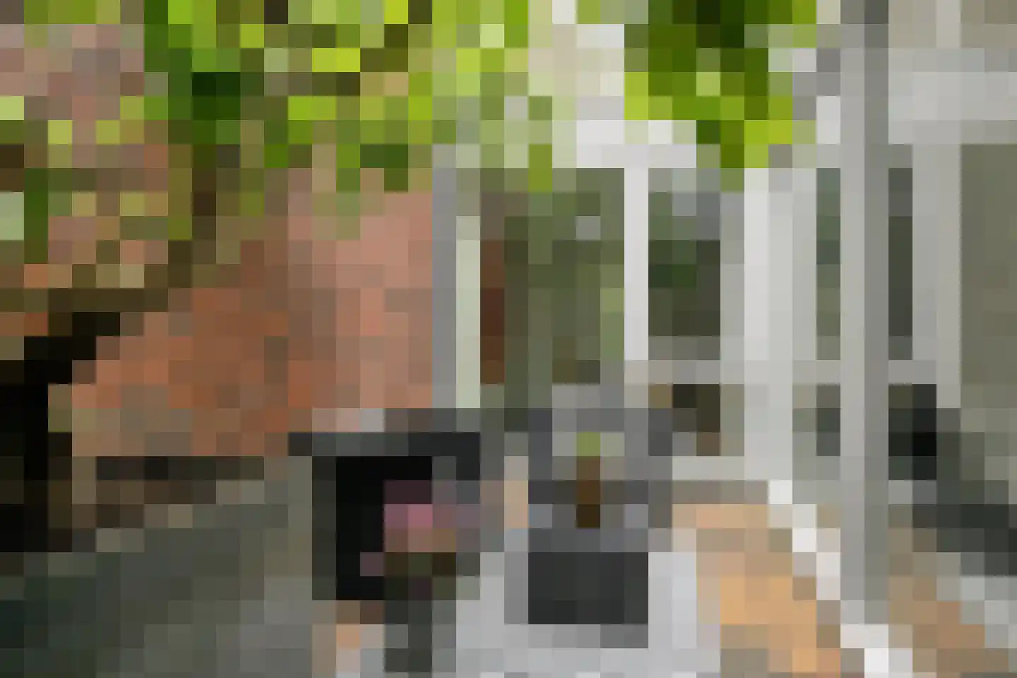 Grasveld 62 Eindhoven thumbnail 7