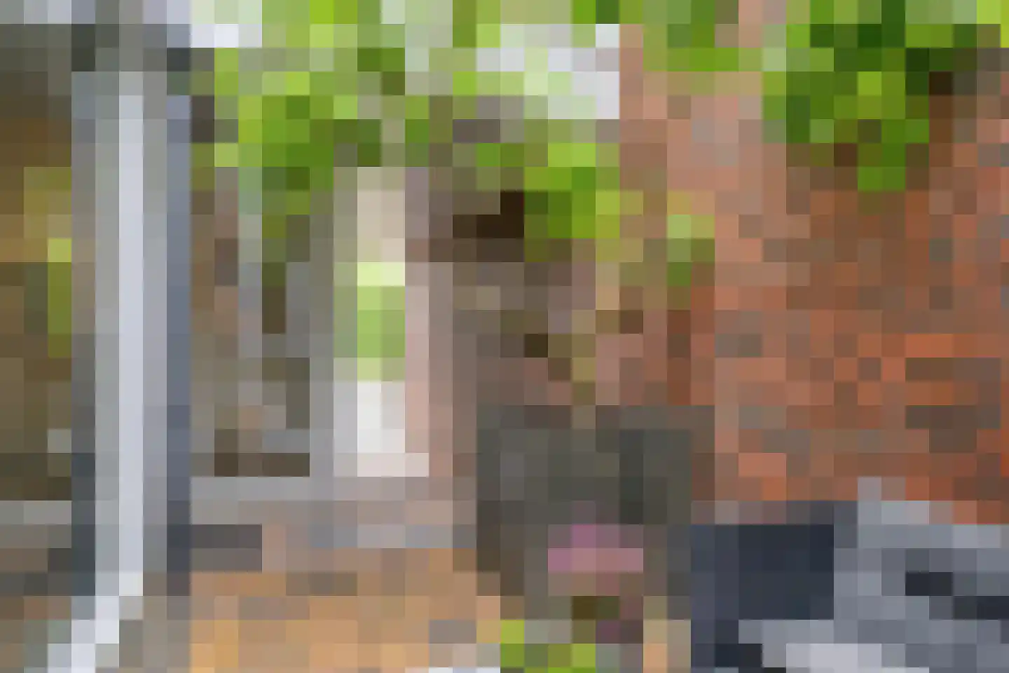 Grasveld 62 Eindhoven thumbnail 8