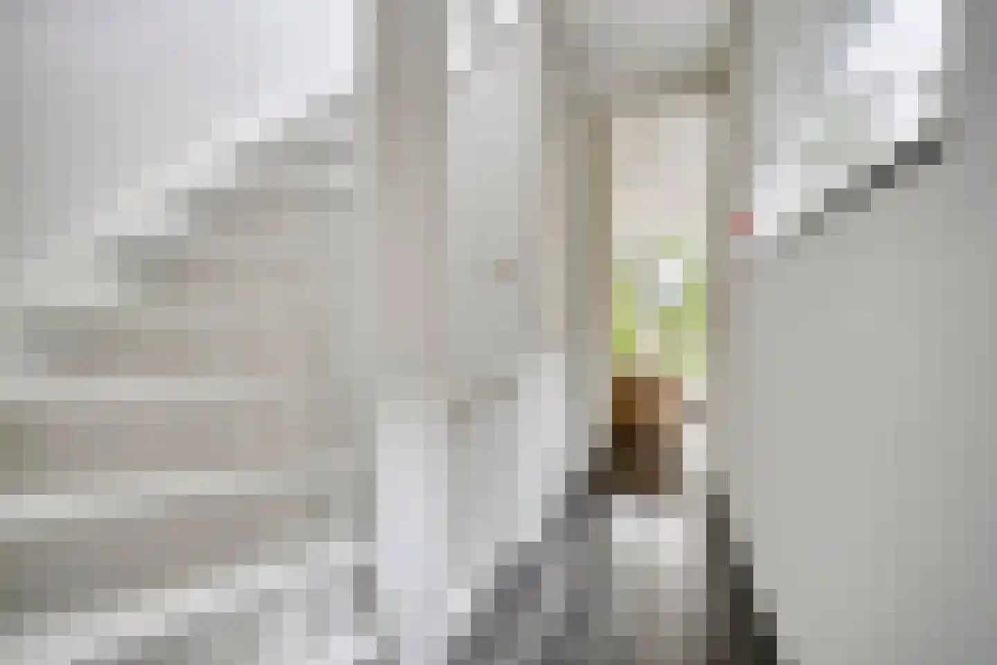 Grasveld 62 Eindhoven thumbnail 9