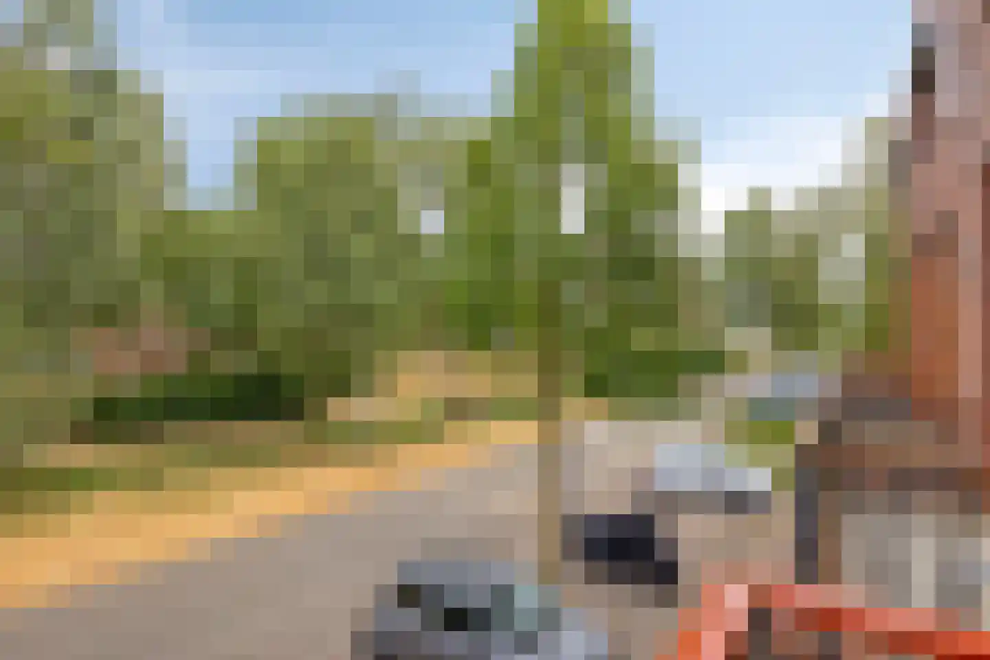 Grasveld 70 Eindhoven thumbnail 20
