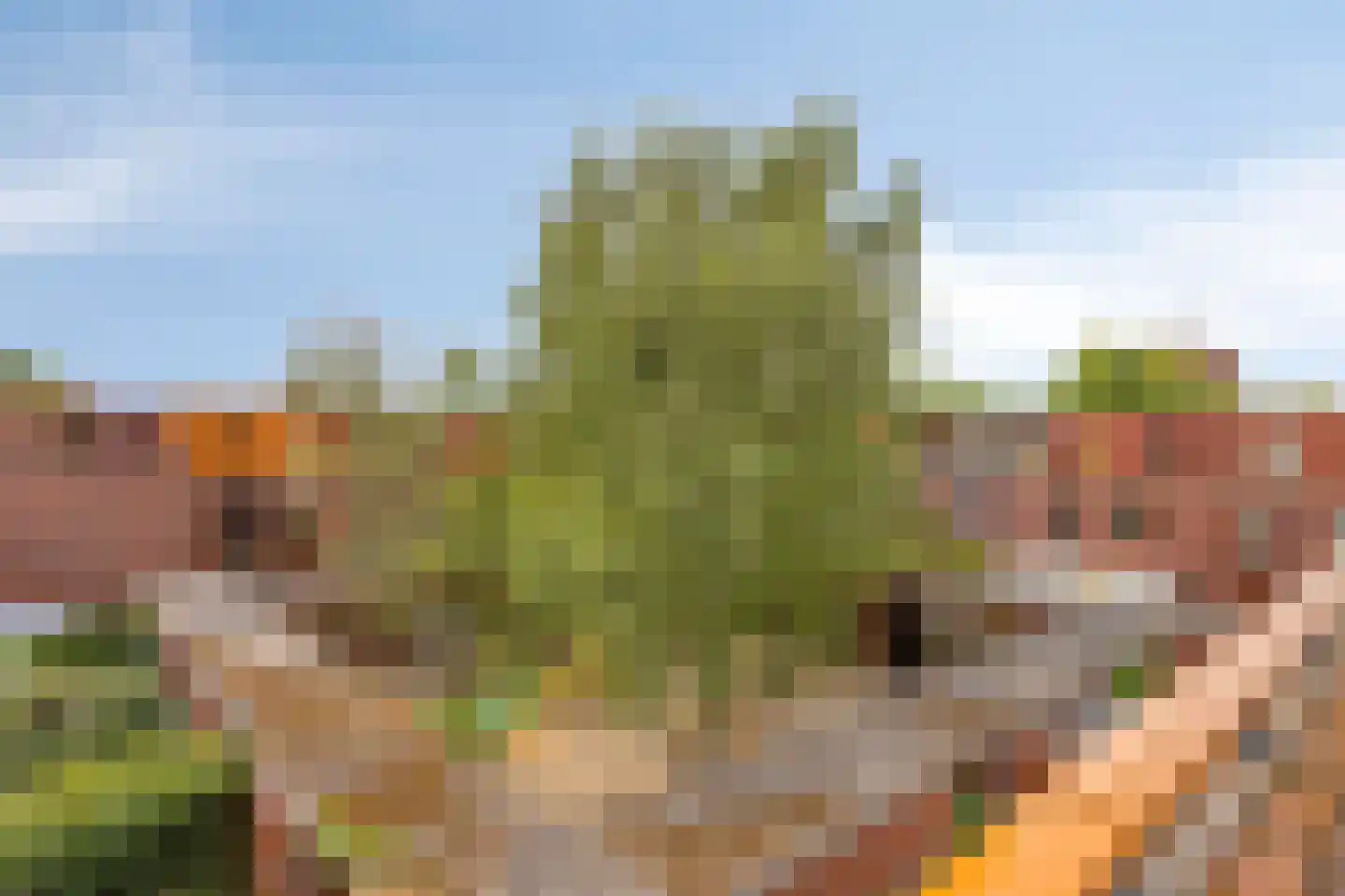 Grasveld 70 Eindhoven thumbnail 35