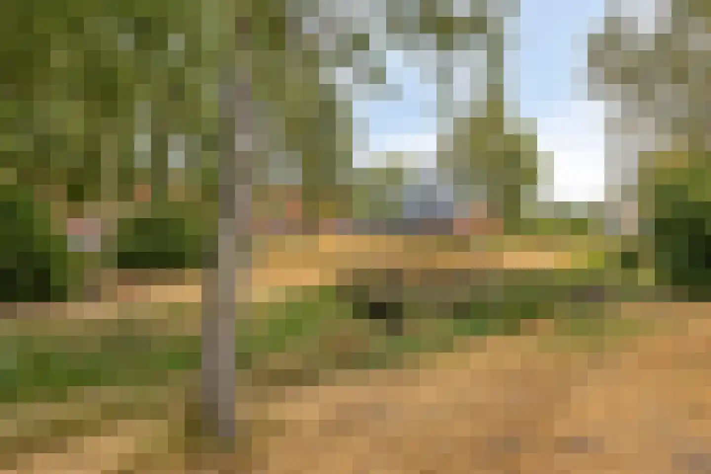 Grasveld 70 Eindhoven thumbnail 39