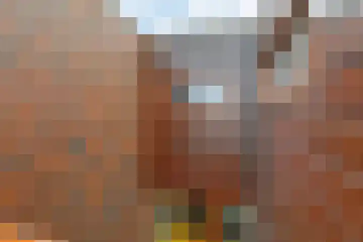 Grasveld 96 Eindhoven thumbnail 30