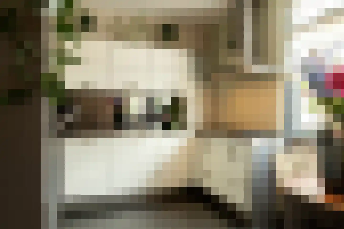 Grasvink 15 Eindhoven thumbnail 14