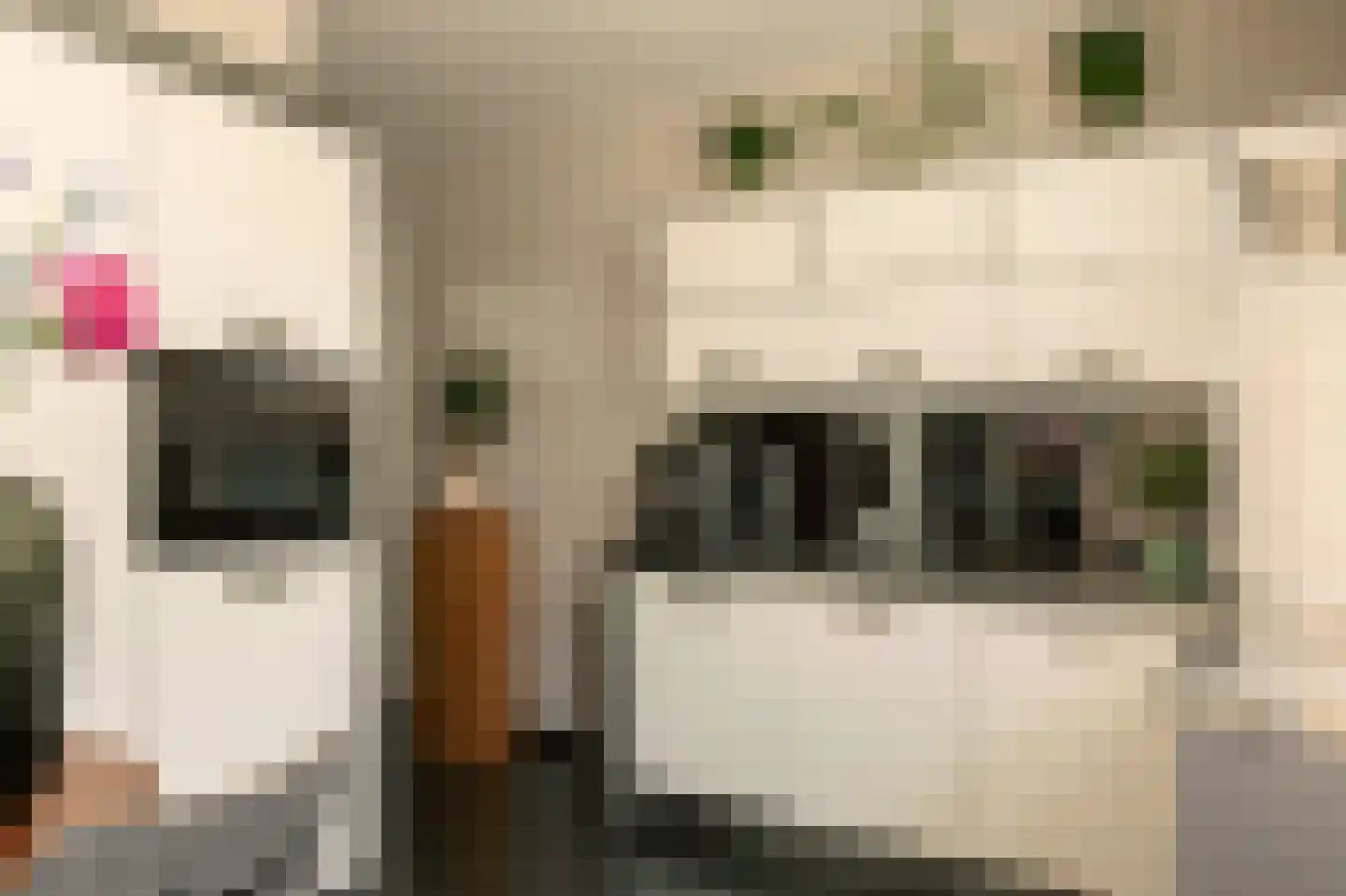Grasvink 15 Eindhoven thumbnail 15